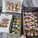 透過多元培力活動與職業訓練 重拾對生命的熱情與自我認同感！