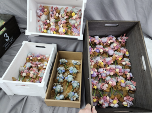 透過多元培力活動與職業訓練 重拾對生命的熱情與自我認同感！